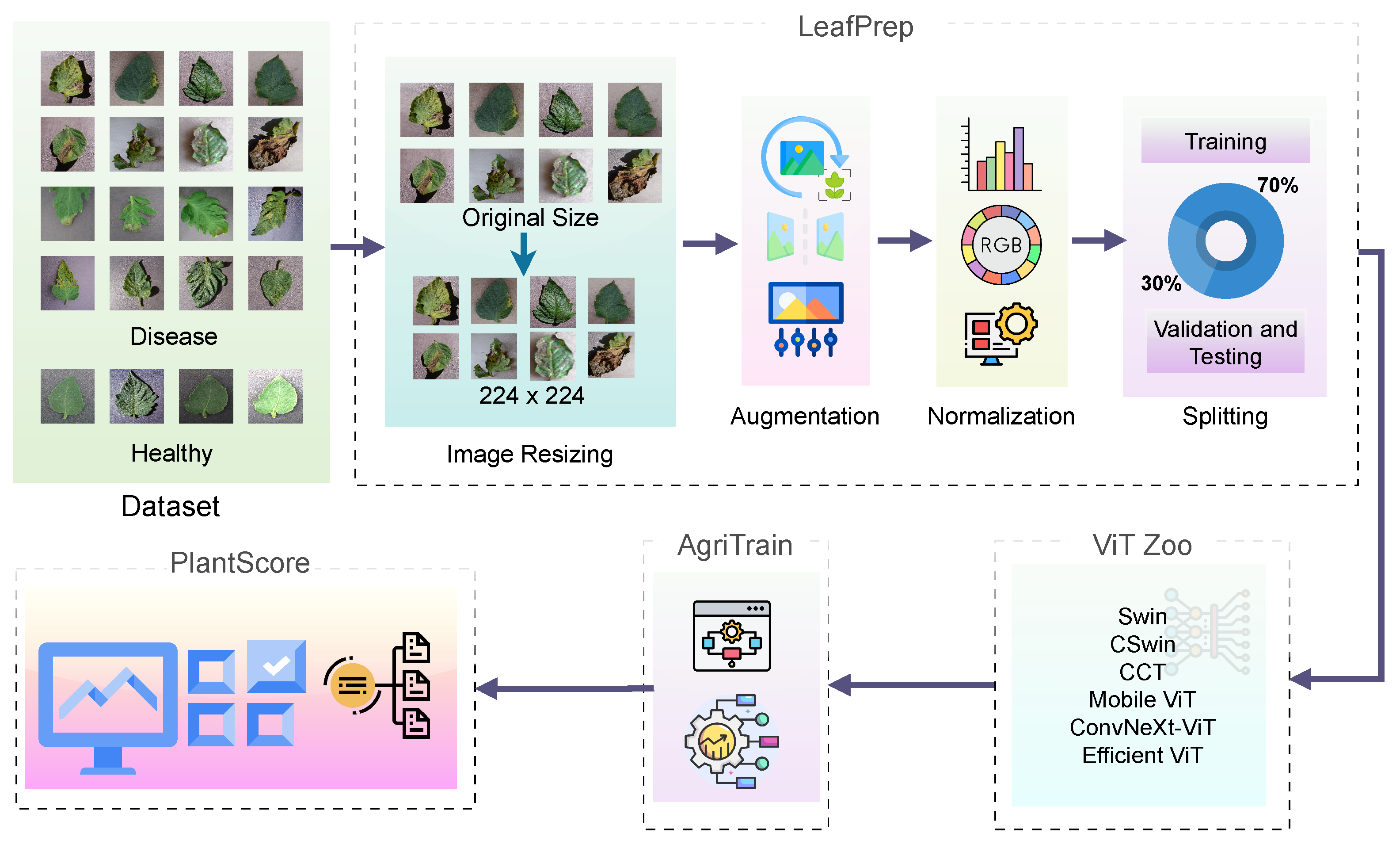 ViT-RoT architecture figure